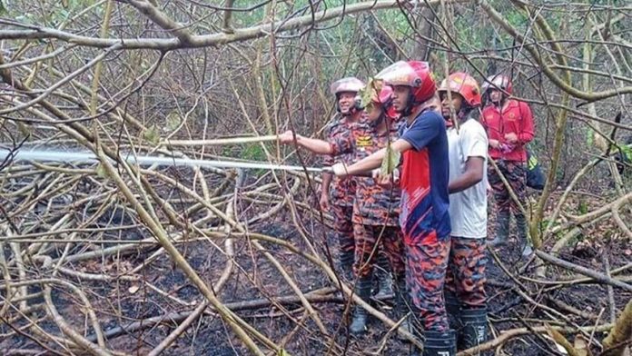 সুন্দরবনের আগুন নিয়ন্ত্রণে