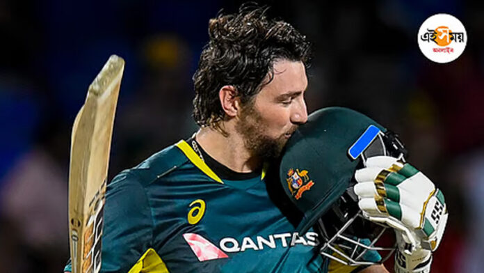 টিম ডেভিড