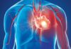 হার্ট ভালো রাখতে হলে,এই ৪টি খাবার এড়িয়ে চলতে হবে হার্ট বা হৃৎপিণ্ড