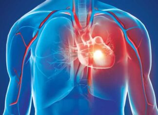 হার্ট ভালো রাখতে হলে,এই ৪টি খাবার এড়িয়ে চলতে হবে হার্ট বা হৃৎপিণ্ড