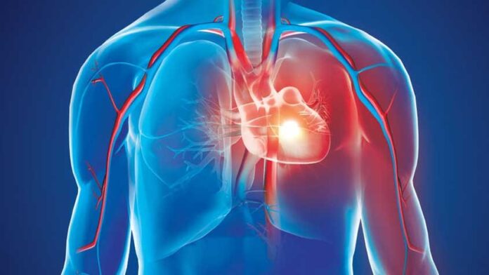 হার্ট বা হৃৎপিণ্ড