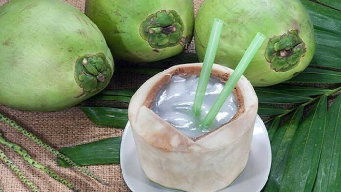 ডাবের পানি