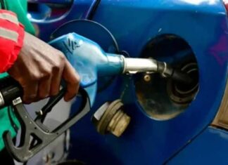 দাম বাড়লও পেট্রোল-অকটেন-ডিজেলের দেশে বেড়ে গেল পেট্রোল-অকটেন-ডিজেলের দাম