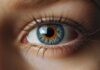 যে ৫ খাবার খেলে দৃষ্টিশক্তি ভালো থাকে দৃষ্টিশক্তি ভালো রাখতে যে ৫ খাবার খাবেন