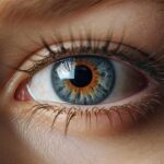 যে ৫ খাবার খেলে দৃষ্টিশক্তি ভালো থাকে দৃষ্টিশক্তি ভালো রাখতে যে ৫ খাবার খাবেন