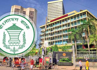 বন্ধ কারখানা চালুর জন্য ৬০ হাজার কোটি টাকার প্রণোদনা ঘোষণা বাংলাদেশ ব্যাংক