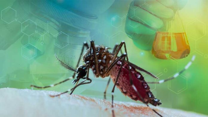 জীবাণুবাহী অ্যানোফিলিসক পার্বত্য অঞ্চলের মশা