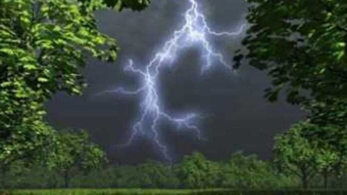 বজ্রপাতে একদিনে ৯ জনের মৃত্যু