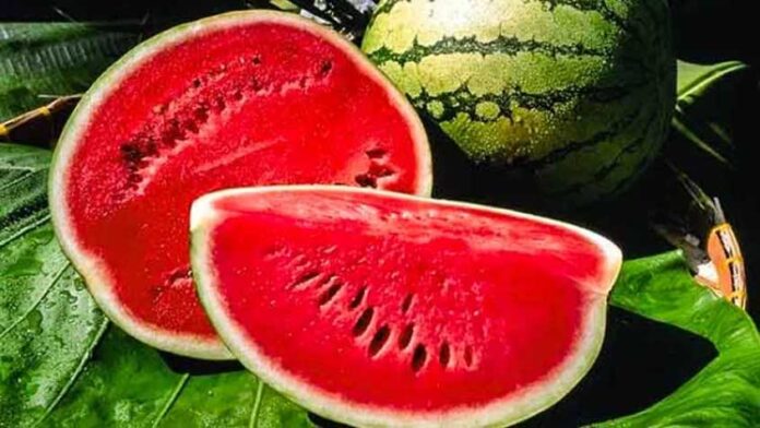 তরমুজ কখন খাবেন, কখন নয়