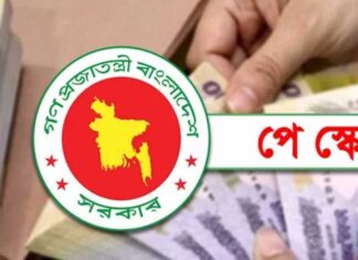 নতুন পে-স্কেল: কোন গ্রেডে কত টাকা বাড়ছে দ্বিগুণ হচ্ছে যাদের পেনশন