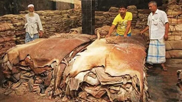 দেশে কুরবানির পশুর চামড়ার দাম নির্ধারণ