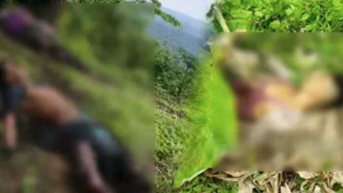 সীমান্তে মাইন বিস্ফোরণে ৩ বাংলাদেশি নিহত