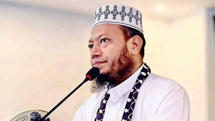 আমির হামজা