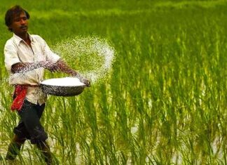 দুই দেশ থেকে ৯০৩ কোটি টাকার সার কেনার সিদ্ধান্ত