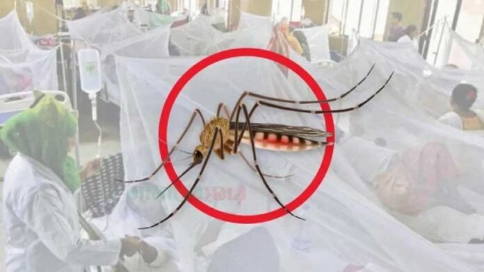ডেঙ্গু নিয়ে হাসপাতালে ভর্তি ৫০ হাজার ছাড়ালো