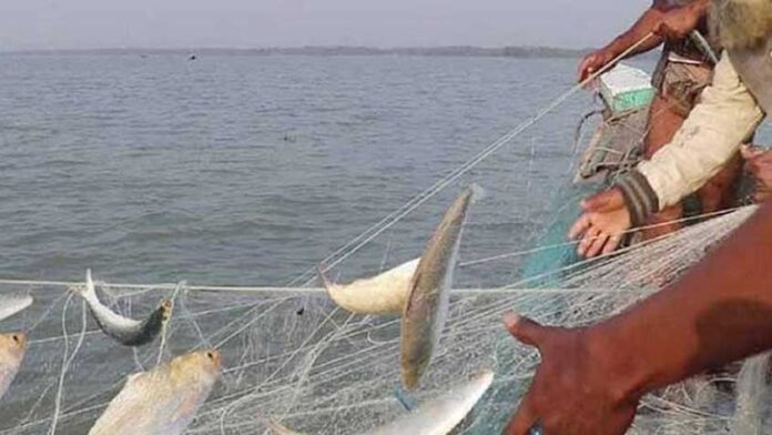 ২২ দিন ইলিশ ধরা মানা