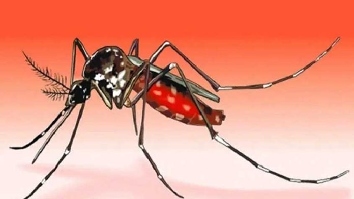 ডেঙ্গুতে একদিনে ১০ মৃত্যু, মোট প্রাণহানি ২৮১